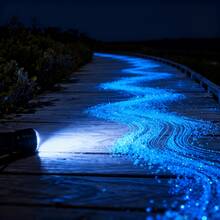 5000 Glow Stones, Solar-Powered Outdoor Garden Path Stones, Luminous Pebbles, Suitable For Garden Path Decoration, Aquarium Decoration, Landscape Lighting, And Vase Fillers. Multiple Colors Available. - 藍色 - 查看 3
