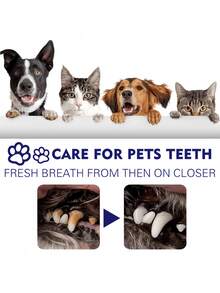 宠物牙膏，宠物牙齿清洁牙膏，修复牙齿，美白牙齿，去除牙菌斑和牙渍，呵护牙龈。宠物牙膏牙刷套装，适用于猫狗，去除牙菌斑和牙渍，消除口臭，最佳宠物口腔护理套装，口腔护理和清洁，减少牙垢和牙结石，适用于幼猫、幼犬和成年猫狗。