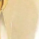 彩色