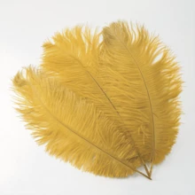 20 Pcs 1 Piece White Feather Bulk Feathers For Wedding Decorations, Party Centerpieces And DIY Crafts | Suitable For Home Decoration, Vase And Hat Decoration, Decorative Accents | Fluffy Texture | Luxurious Look - 金色 - 查看 7