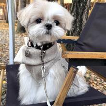 1pc Cute Princess Style Plush Windbreaker Jacket For Small/Medium Dogs, Elegant Pet Clothes For Autumn/Winter - Beige - View 6