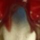 淺藍色