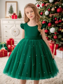 Young Girl Green Ruffle Trim Mesh Party Dress, Elegant Princess Style Dress Suitable For Girls Birthday Party, Christmas Gift, Formal Gala, Wedding Ceremony, Casual Daily Wear