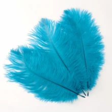20 Pcs 1 Piece White Feather Bulk Feathers For Wedding Decorations, Party Centerpieces And DIY Crafts | Suitable For Home Decoration, Vase And Hat Decoration, Decorative Accents | Fluffy Texture | Luxurious Look - 金色 - 查看 2
