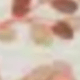 白色/金色