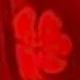 Màu Hồng Tươi