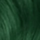 Ombre Green