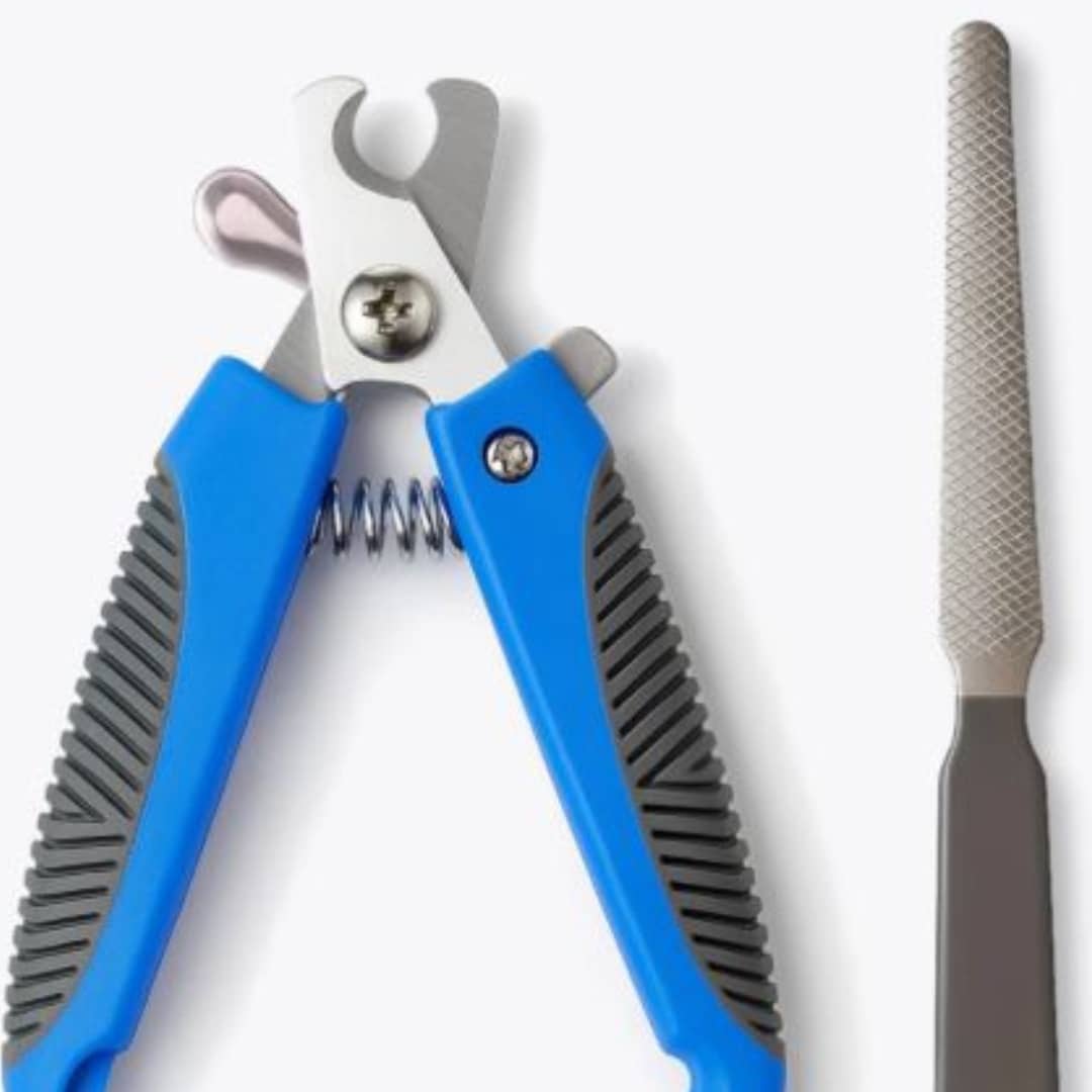 Pet Nail Clipper Kit With Stainless Steel Pliers And Nail File For Cats And Dogs - 彩色 - 查看 1