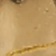金色