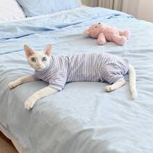 三色经典条纹猫咪卫衣，适合小型至中型猫咪，可机洗，四季皆宜。 - 紫色 - 查看 14