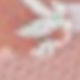 強調
