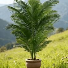 1pc Lifelike Artificial Palm Tree, No Maintenance Required, No Lighting Needed, Never Withers, Waterproof & UV-Resistant - Suitable For Office Desk, Home Decor, Ins Style, Apartment, Gift, Hotel, Mall, Cafe, Bedroom, Study - Enhances Ambiance, Minimalist & Modern Home Decor - Army Green - View 8