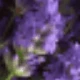AROMA RELAJANTE 125 GR