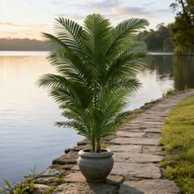 1pc Lifelike Artificial Palm Tree, No Maintenance Required, No Lighting Needed, Never Withers, Waterproof & UV-Resistant - Suitable For Office Desk, Home Decor, Ins Style, Apartment, Gift, Hotel, Mall, Cafe, Bedroom, Study - Enhances Ambiance, Minimalist & Modern Home Decor - Army Green - View 9