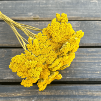 Natural Artemisia, Dried Atractylodes Rhizome, Achillea Millefolium, Golden Dried Flowers, Wild Flowers, Dried Flowers For Wedding, DIY, Bohemian Style Decoration