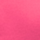 Rosa Fucsia