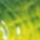 Verde Oliva