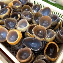 瑪瑙石英水晶碗 手工原石冥想碗，含天然內含物，居家祭壇中心裝飾，適合冥想 - 彩色 - 查看 8