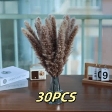 20/30 piezas Ramo de Hierba de las Pampas Seca, Flores Blancas, Ramo de Estilo Bohemio para Decoración del Hogar, Flores Secas de Junco, Decoración de Habitación, Decoración del Hogar, Decoración de Dormitorio, Decoración de Boda, Suministros de Boda, Decoración de Oficina, Decoración de Cafetería, Regalo del Día de San Valentín | Halloween, Navidad, Decoraciones Navideñas, Decoración de Habitación, Decoración de Dormitorio, Regalo