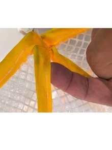 1个可折叠植物防霜罩，带4个地钉，花园温室罩，隔热保温，防鸟防虫，适用于高架蔬菜水果床，耐候性强（49 * 38 * 22 厘米） - 彩色 - 查看 10