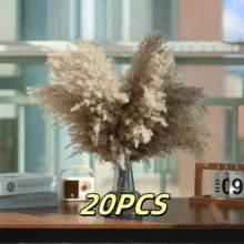 20/30 piezas Ramo de Hierba de las Pampas Seca, Flores Blancas, Ramo de Estilo Bohemio para Decoración del Hogar, Flores Secas de Junco, Decoración de Habitación, Decoración del Hogar, Decoración de Dormitorio, Decoración de Boda, Suministros de Boda, Decoración de Oficina, Decoración de Cafetería, Regalo del Día de San Valentín | Halloween, Navidad, Decoraciones Navideñas, Decoración de Habitación, Decoración de Dormitorio, Regalo