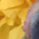 彩色