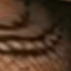 màu đen