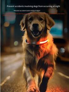 1条LED多色发光项链，13种灯光模式/追逐彩虹模式/Type-C充电