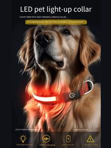 1条LED多色发光项链，13种灯光模式/追逐彩虹模式/Type-C充电