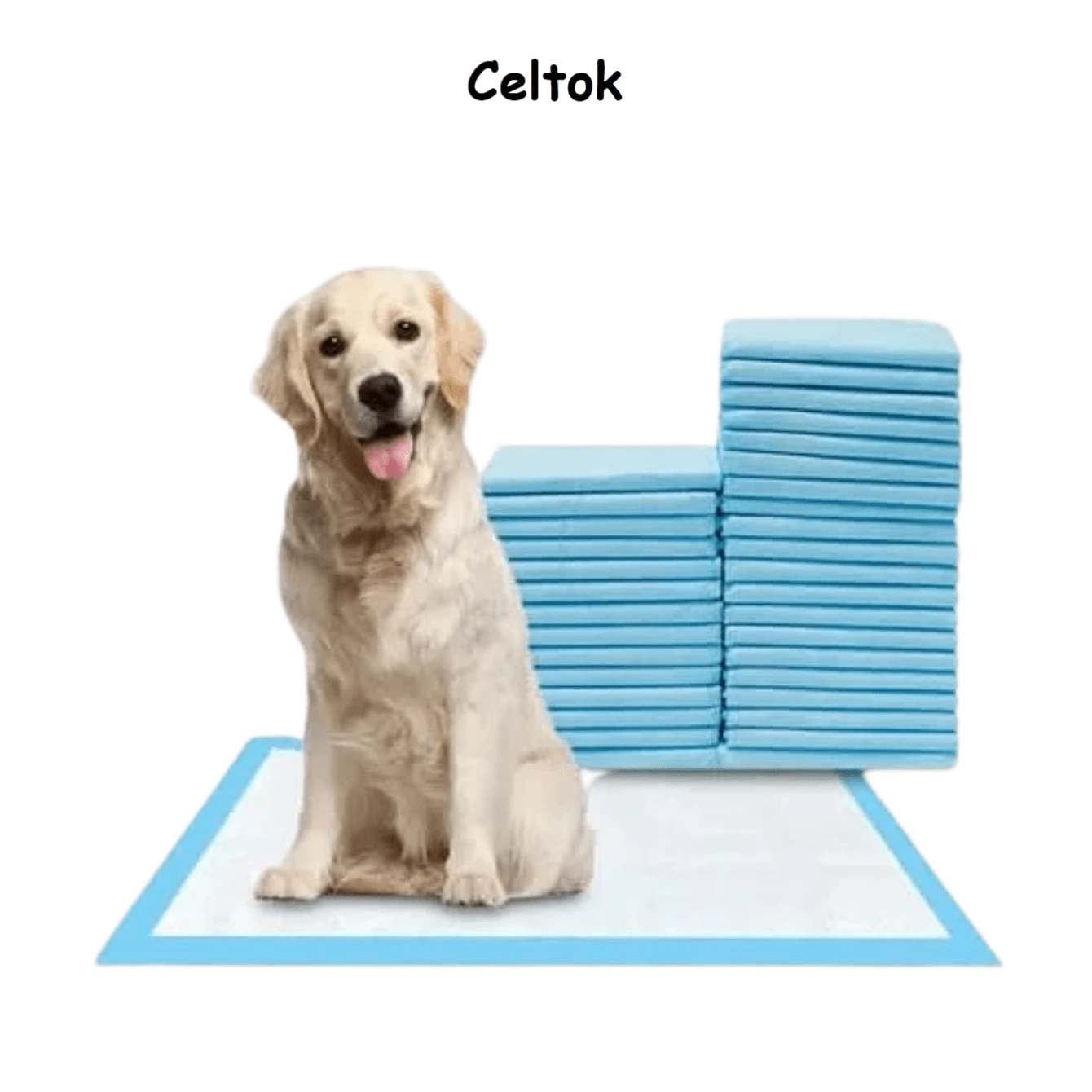 CELTOK CT0232 1 Paquete Con 10 Piezas De Tapete Entrenador