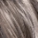 Gray Ombre