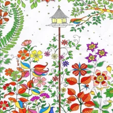 4本成人涂色书套装 - 青少年及成人减压艺术疗法书籍，包含《秘密花园》、《动物王国》、《魔法森林》 - 创意插画素描书 - 彩色 - 查看 4