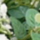 verde menta