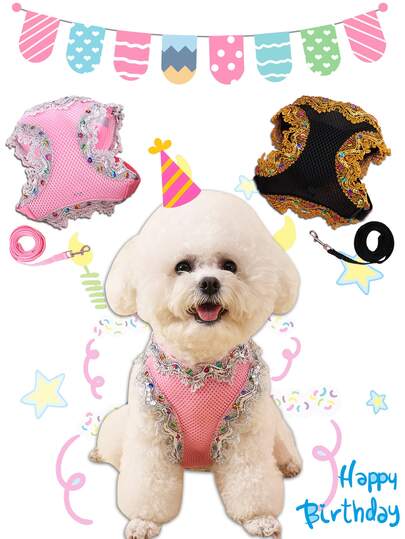 LANGXINGCS 1pc LANGXINGCS Pet Harness Set, Party Style Breathable Comfortable Dog Harness And Leash Set, Outdoor Cat Harness Set For Birthday Celebration, Suitable For Medium And Small Cats And Dogs