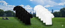 THEGEWA PACK OF 10 T-SHIRTS, ASSORTED COLORS: BLACK, WHITE, AND MORE COLORS, LIGHT AND COOL. Plain, Regular, Asymmetrical, Spring Festival, MULTICOLOR - White - View 17