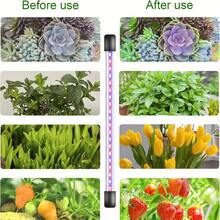 Full Spectrum LED Grow Lights (1/5-Head) - USB Timing & Dimming, 3 Modes For Indoor Plant Growth - Commercial-Grade Lighting For Greenhouse, Nursery & Home Gardeners - 黑色 - 查看 6