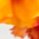 橘色