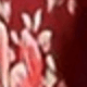 多色(圓帽飄帶印花)-1pc