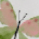 Branco-W4