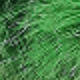 Green Fur