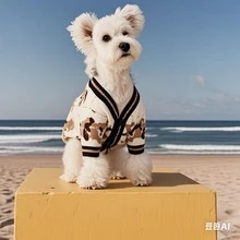 Chihuahua, Pets, Cats, Dogs, Dog Clothes, Puppy Dog, Chihuahua Dog Clothes, Kitten Supplies, Cute Bear Dog Cardigan Sweater Suitable For Medium And Small Male And Female Dogs And Cats, Pet Dog Winter Coat, Soft Knitted Clothing - White - View 11