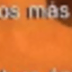 Libro único