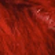 Wine-red Fur