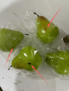 1 pieza/3 piezas Decoración de pato artificial con forma de pera realista, apta para plato de frutas, mesa de cocina del hogar, gabinete, comedor, fiesta, accesorios de fotografía - Multicolor - Ver 11