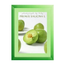 1个/3个彩虹系列彩色卡纸相框，尺寸分别为6英寸、7英寸、8英寸、10英寸、12英寸，适合装饰画廊墙或客厅墙面，可用作情人节或教师节礼物，不含相纸，也可用于生日、毕业典礼等场合。 - 彩色 - 查看 20