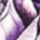 彩色