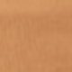 Coral Orange