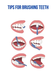 LION White & White Dutch Mint Whitening Toothpaste, 150g/5.29oz - Fluoride Formula, Deep Cleans Teeth And Removes Stains, Gentle Abrasion Won't Damage Teeth, Fresh Dutch Mint Flavor, Flip-Top Design For Easy Opening, Daily Whitening And Freshness. - Lion Whitening Toothpaste (Dutch Mint Flavor) - View 9