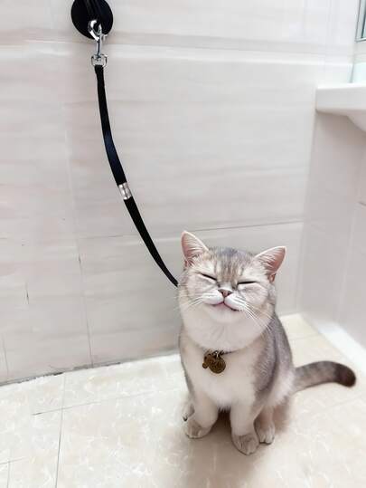 Pet Bathing Restraint Device For Cats And Dogs - Secure Grip Bathing Tool With Adjustable Straps, Prevents Escape During Grooming, Trimming & Bathing, Durable Pet Safety Accessory For Home Use, Secure Grip Design, Sturdy Construction, Without Battery