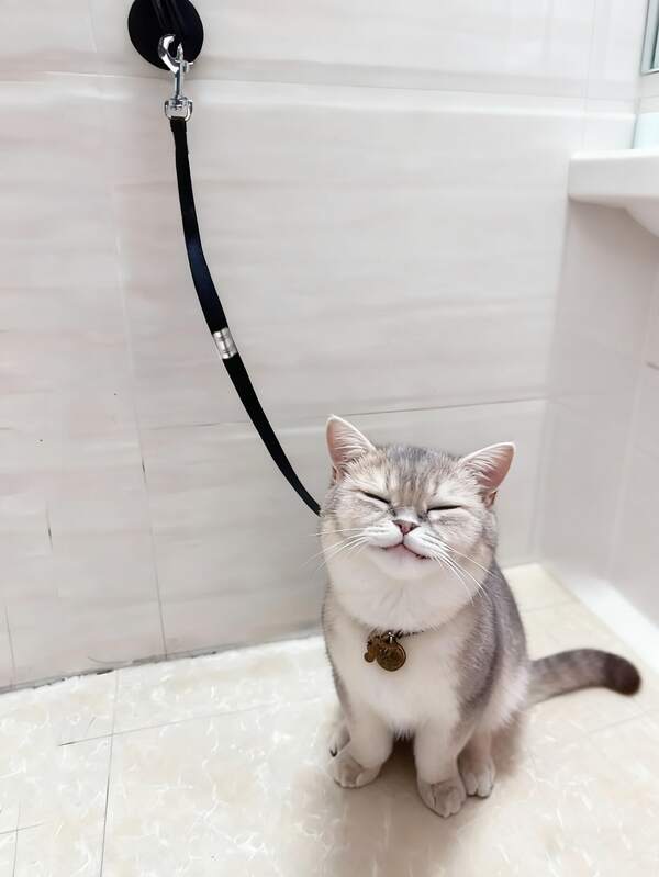 Pet Bathing Restraint Device For Cats And Dogs - Secure Grip Bathing Tool With Adjustable Straps, Prevents Escape During Grooming, Trimming & Bathing, Durable Pet Safety Accessory For Home Use, Secure Grip Design, Sturdy Construction, Without Battery